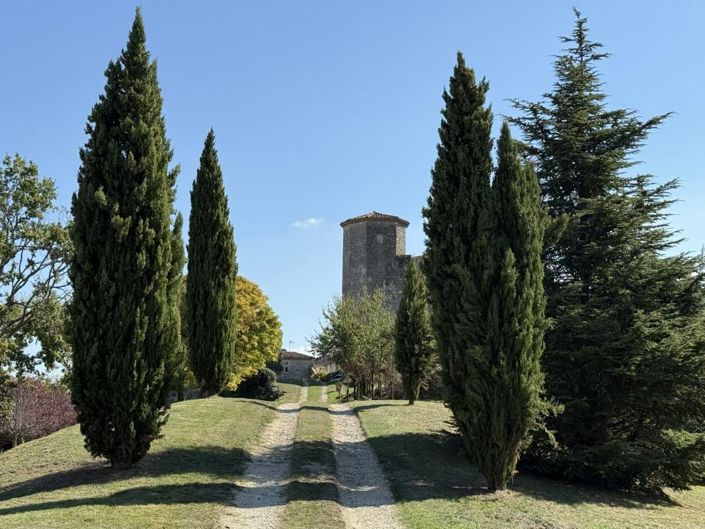 Image No.3-Propriété de 2 chambres à vendre à Lectoure