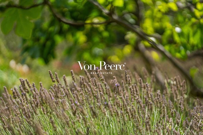 Image No.24-5 Bed House for sale