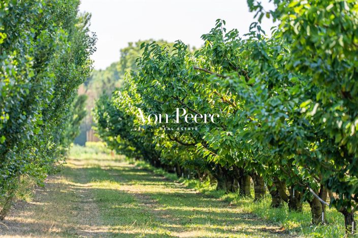 Image No.18-6 Bed House for sale