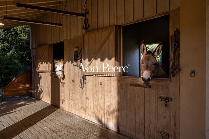 Image No.18-7 Bed House for sale