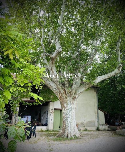 Image No.4-Maison de 6 chambres à vendre à Graveson