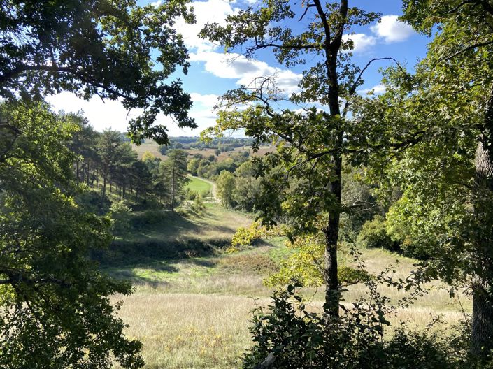 Image No.19-6 Bed House for sale