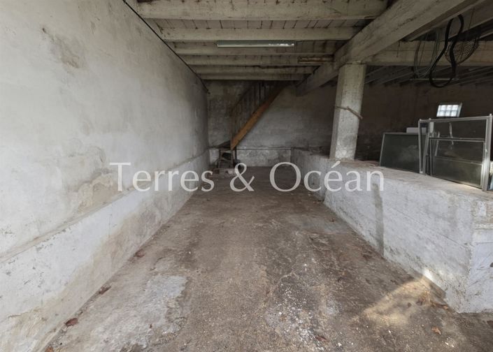 Image No.8-Maison de 1 chambre à vendre à Angresse