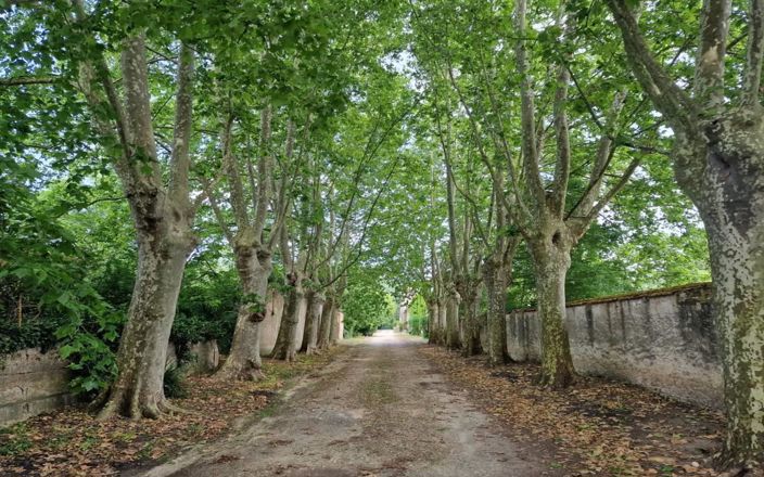 Image No.3-Propriété à vendre à Carcassonne