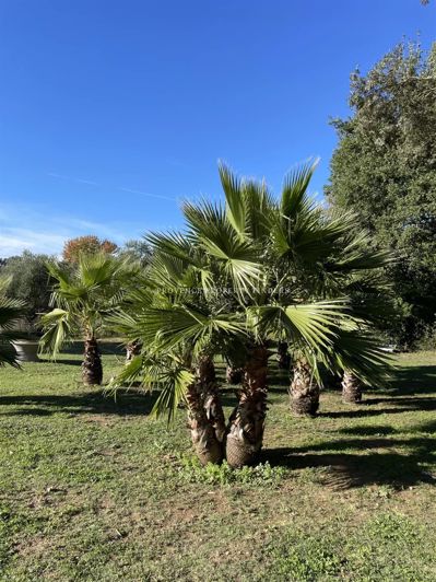 Image No.37-Maison de 6 chambres à vendre à Var