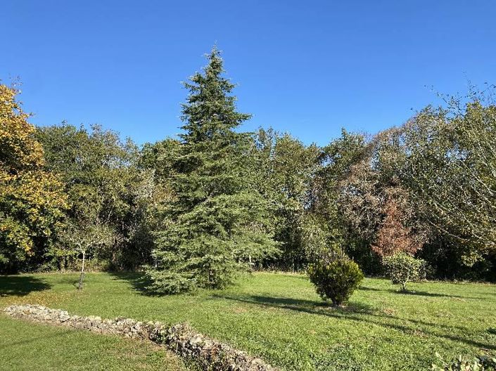 Image No.9-Maison de 3 chambres à vendre à Lalinde