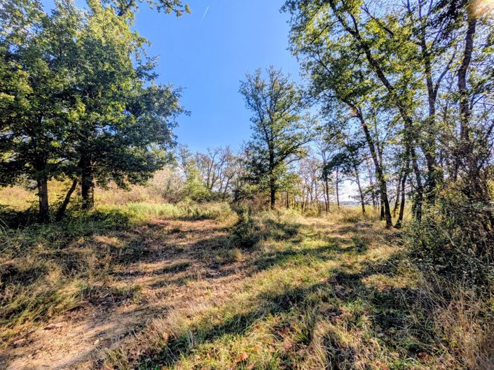 Image No.18-Maison de 5 chambres à vendre à Montesquiou