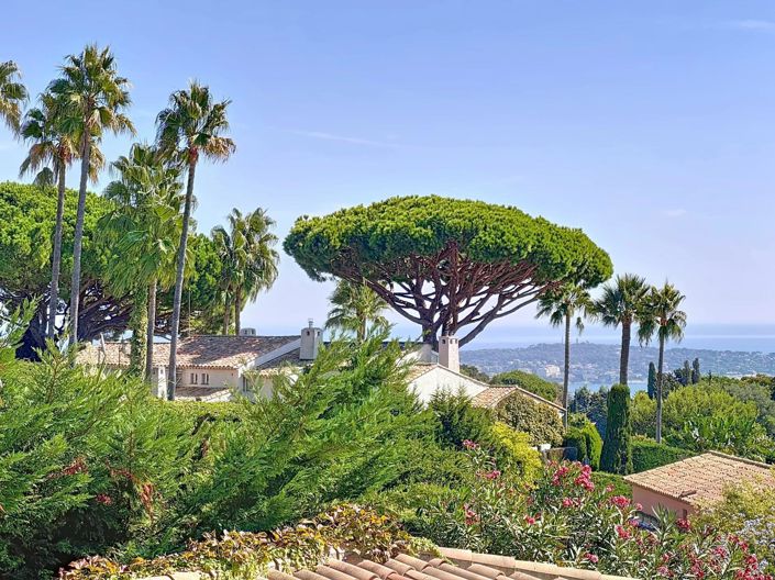 Image No.32-3 Bed House for sale