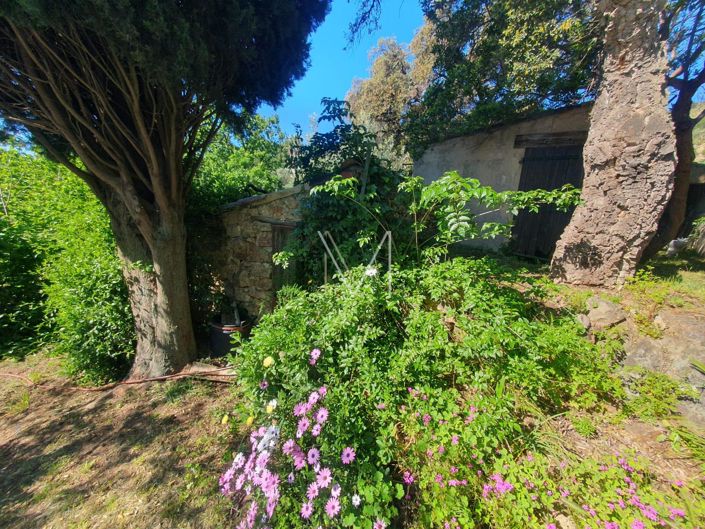 Image No.17-4 Bed House for sale