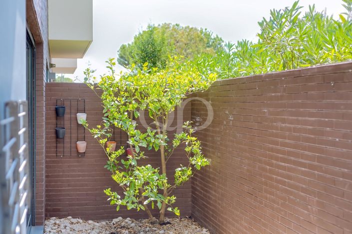 Image No.25-Maison de 1 chambre à vendre à Loule