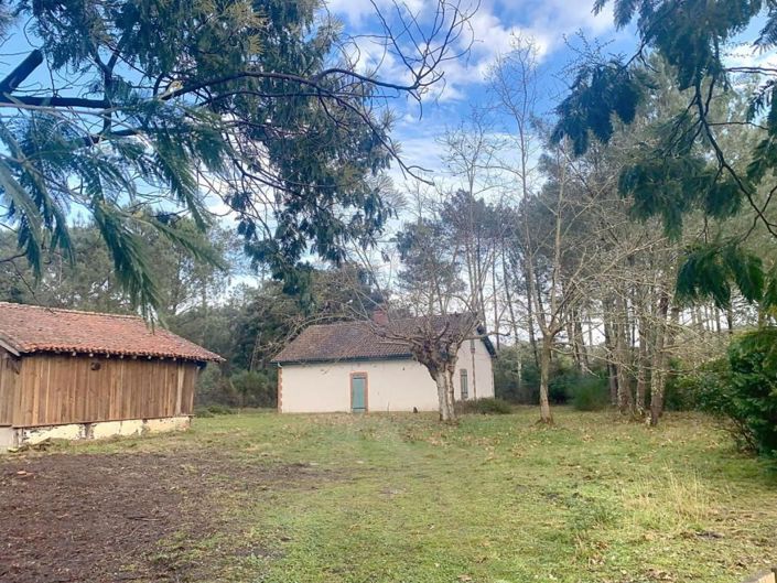 Image No.21-3 Bed House for sale