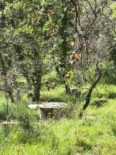 Image No.24-5 Bed House for sale