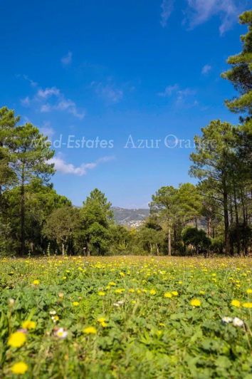 Image No.27-Maison de 5 chambres à vendre à Le Plan-de-la-Tour