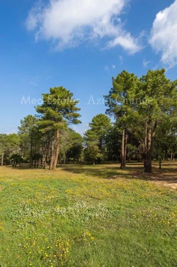 Image No.28-Maison de 5 chambres à vendre à Le Plan-de-la-Tour