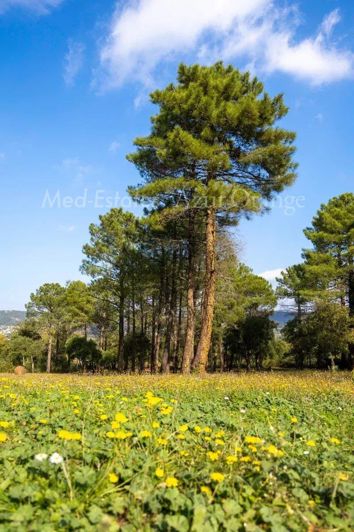 Image No.30-Maison de 5 chambres à vendre à Le Plan-de-la-Tour