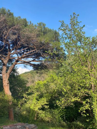 Image No.17-3 Bed House for sale