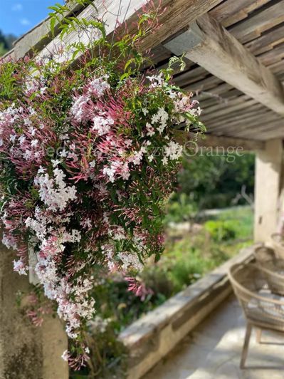 Image No.20-3 Bed House for sale