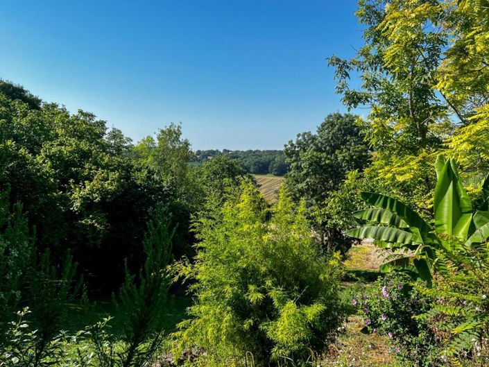 Image No.15-Maison de 3 chambres à vendre à Lectoure