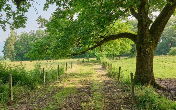 Image No.6-Propriété de 9 chambres à vendre à Saint-Julien-en-Genevois