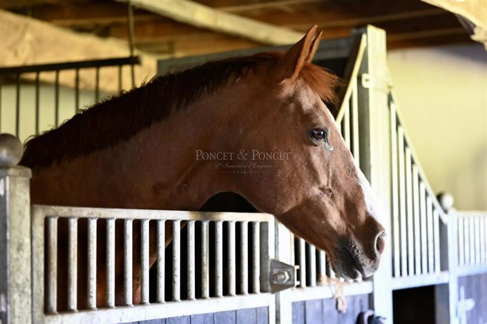 Image No.25-10 Bed House for sale