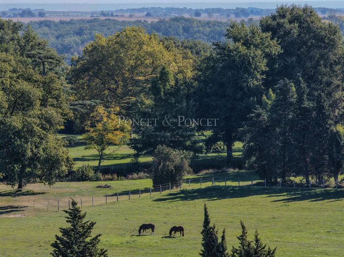 Image No.4-10 Bed House for sale