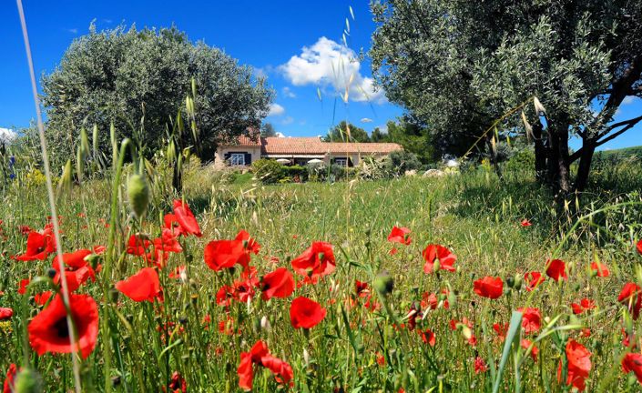 Image No.36-4 Bed House for sale