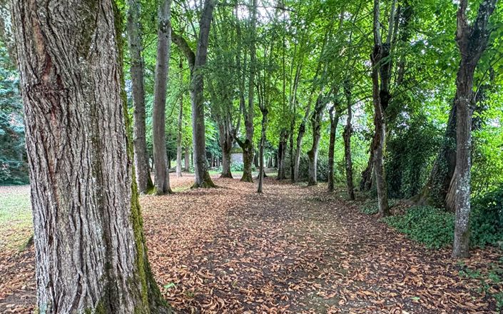 Image No.12-8 Bed Property for sale