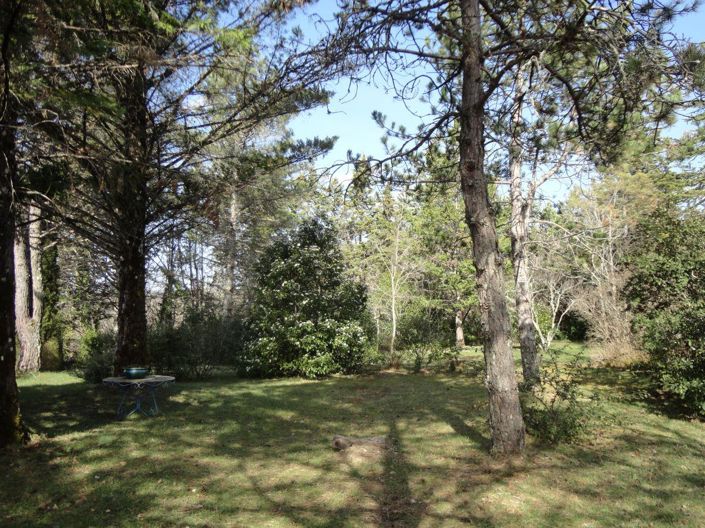 Image No.4-6 Bed House for sale