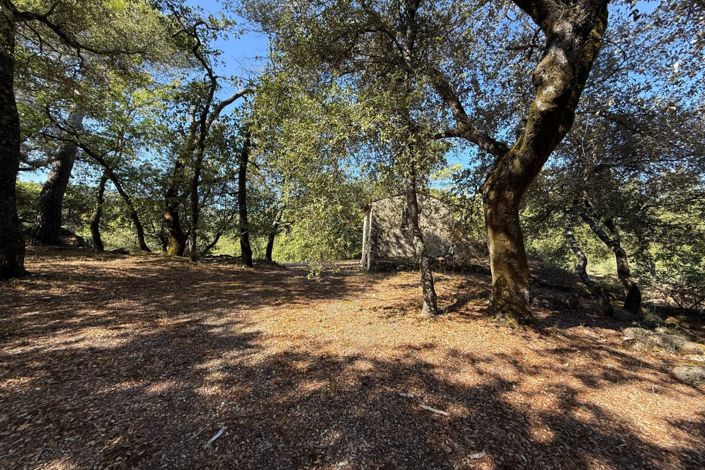 Image No.14-4 Bed House for sale