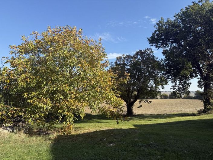 Image No.19-5 Bed House for sale