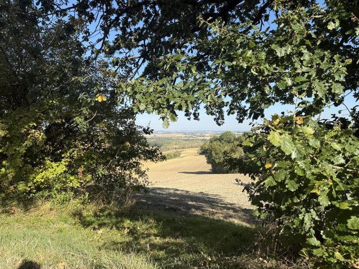 Image No.3-5 Bed House for sale