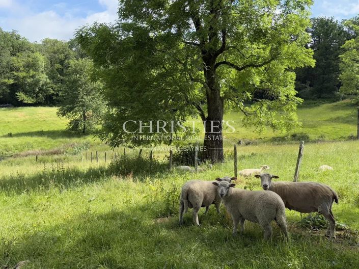 Image No.41-Maison de 17 chambres à vendre à Piegut-Pluviers