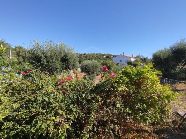 Image No.41-2 Bed House for sale