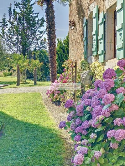 Image No.2-4 Bed House for sale