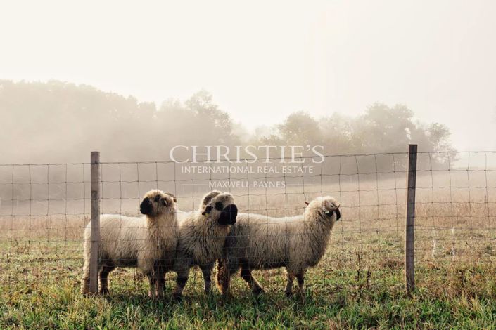 Image No.21-10 Bed House for sale