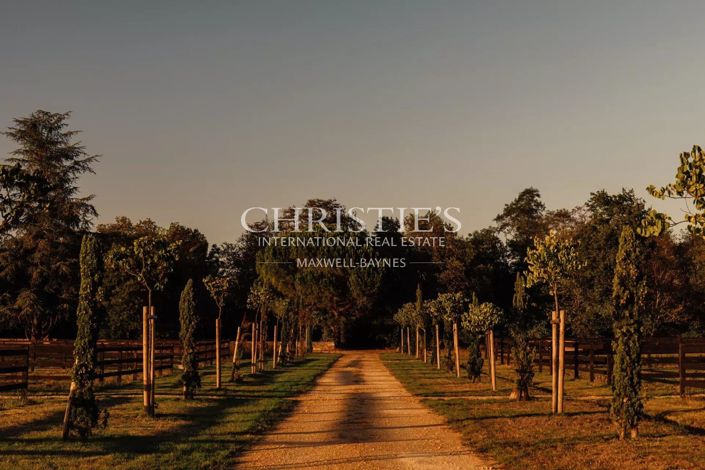 Image No.4-10 Bed House for sale