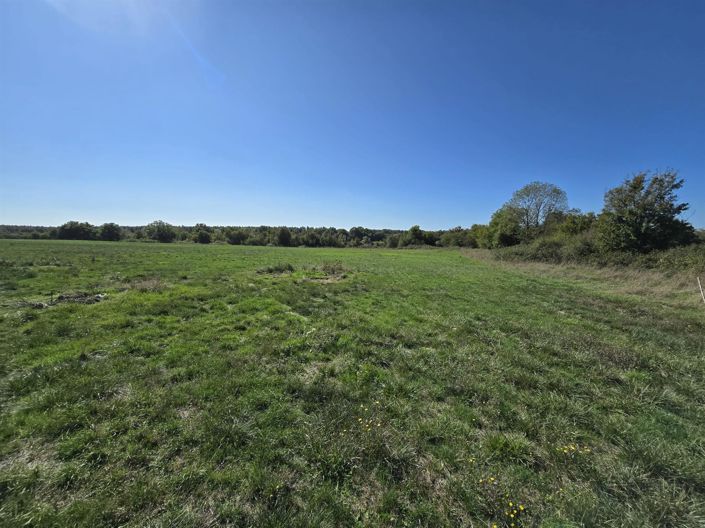 Image No.8-Maison de 6 chambres à vendre à Neuilly-en-Dun