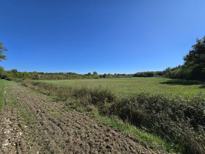 Image No.9-Maison de 6 chambres à vendre à Neuilly-en-Dun