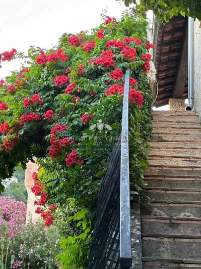 Image No.32-4 Bed House for sale