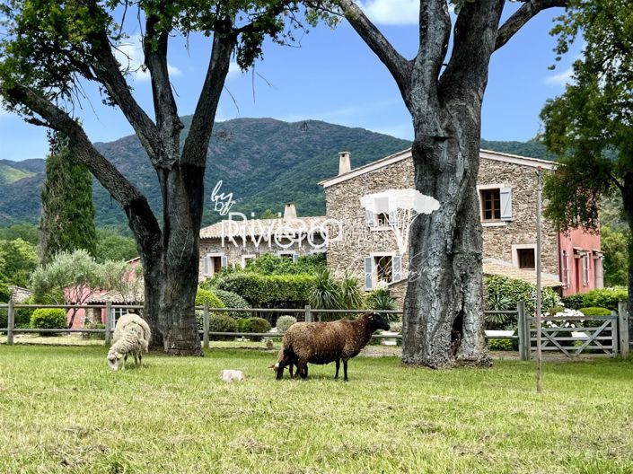 Image No.11-Maison de 9 chambres à vendre à La Môle