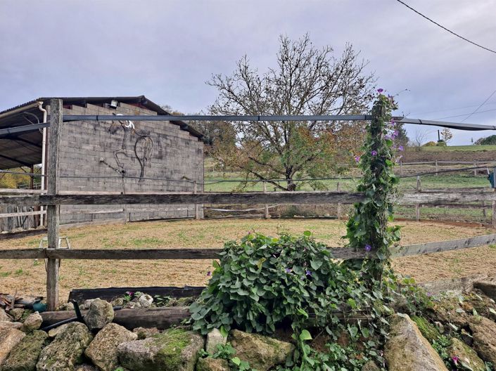 Image No.24-5 Bed House for sale