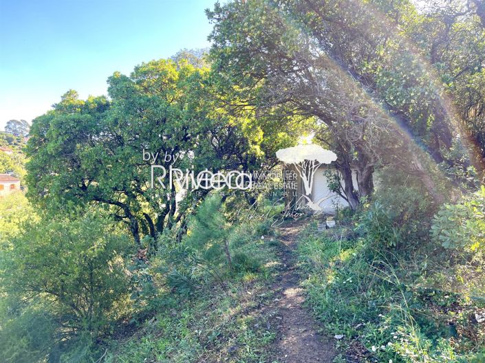 Image No.3-1 Bed House for sale