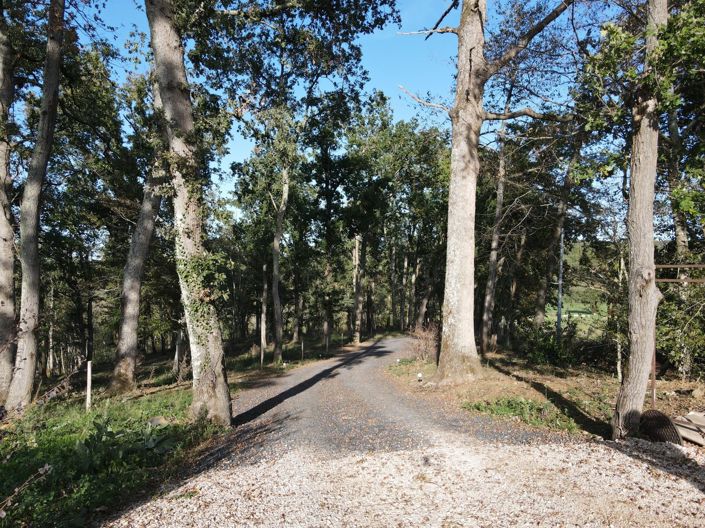 Image No.24-6 Bed House for sale