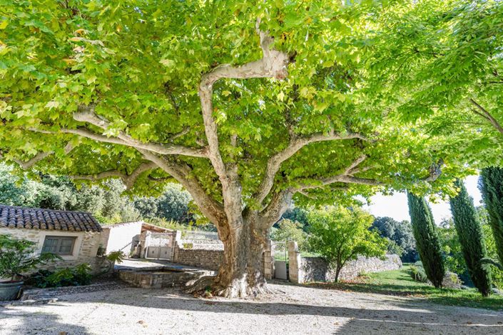 Image No.4-5 Bed House for sale