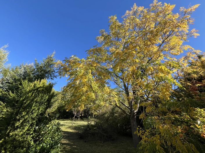 Image No.41-5 Bed House for sale