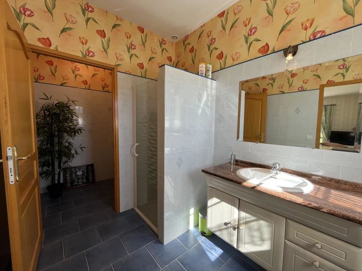 Image No.19-4 Bed House for sale