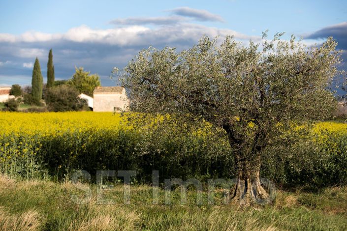 Image No.14-2 Bed House for sale