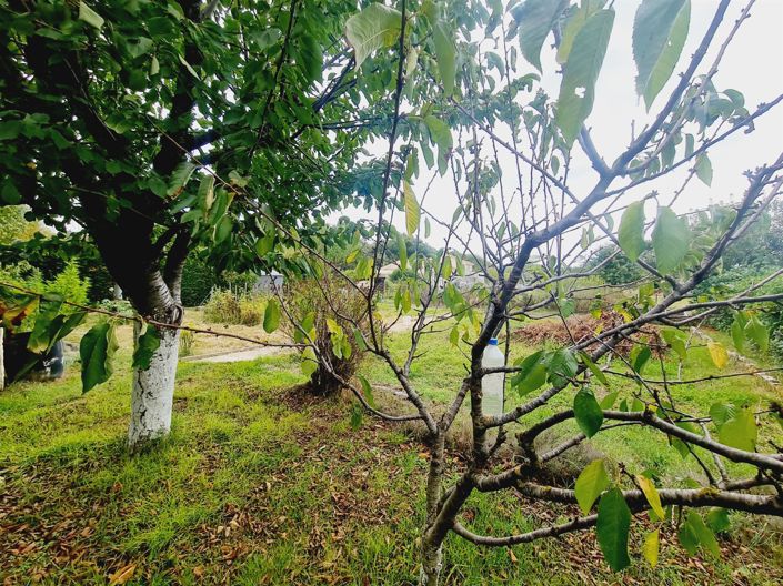 Image No.17-Maison de 4 chambres à vendre à Eaunes