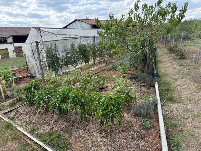 Image No.20-8 Bed House for sale