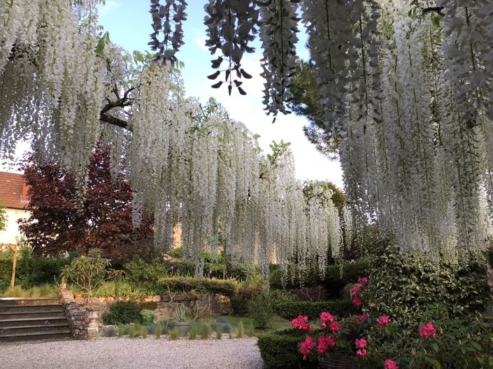 Image No.11-Maison de 3 chambres à vendre à Saint-Front-sur-Lémance